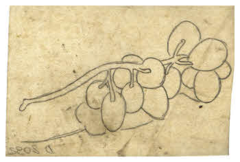 Visualizza l'immagine "FD D 2092"